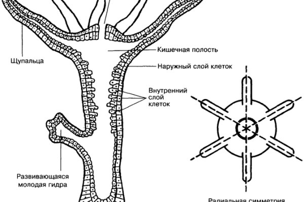 Ссылки на кракен at