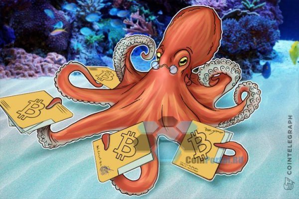 Kraken вход kraken torion