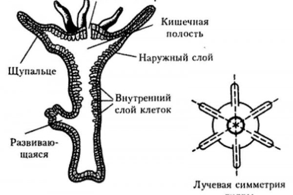 Магазины с наркотиками